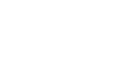 Bivitis